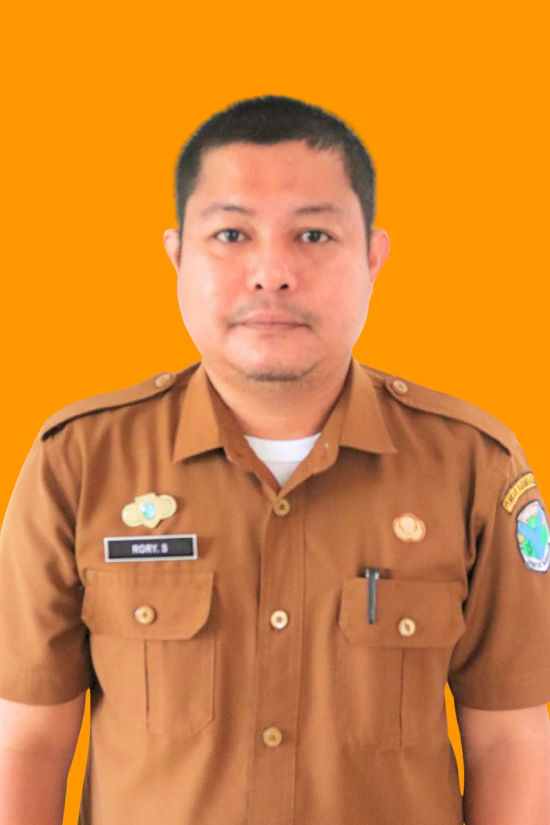 Rory Sefriandy, S.E. (Penelaah Teknis Kebijakan)